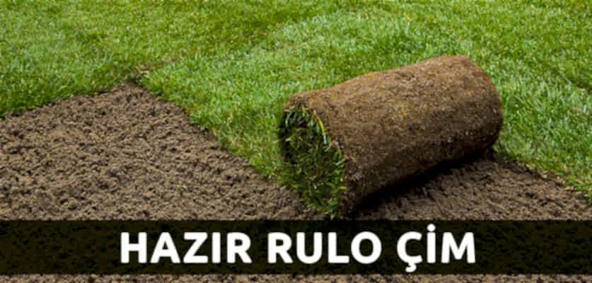 hazır rulo çim istanbul ağaç budama